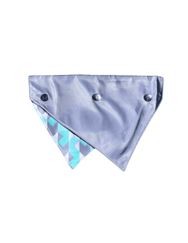 Mint Fizz - Bandana - vista 2