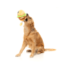 Patty The Homies- Juguete para perros - vista 2