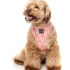 Pink Lemonade - Arnés petral para perros - vista 3
