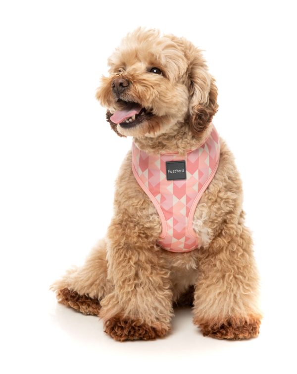 Pink Lemonade - Arnés petral para perros - vista 3