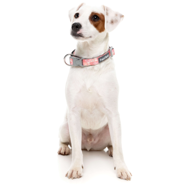 Pink Lemonade - Collar para perros - vista 2