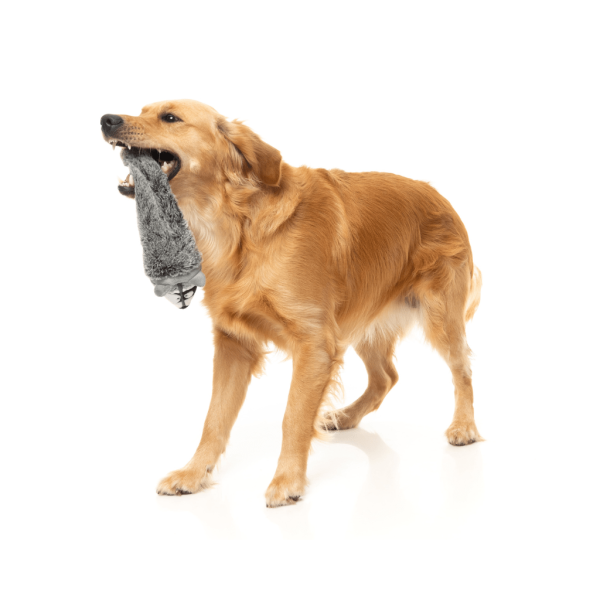 Run Along Racoon The Yeetz - Juguete para perros - vista 3