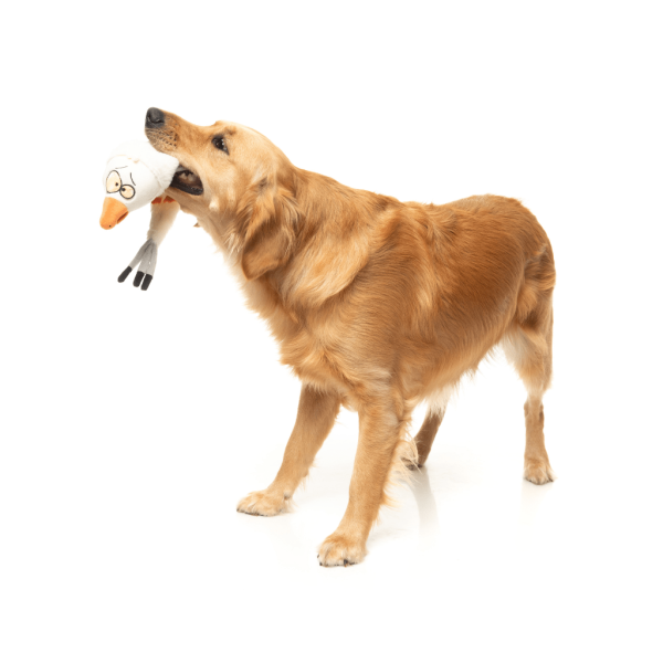 See-Ya Seagull The Yeetz - Juguete para perros - vista 3