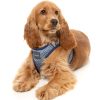 Thornbury Aegean Blue - Arnés Step In para perros - vista 3