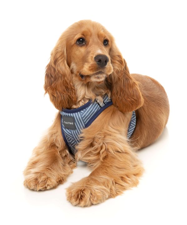 Thornbury Aegean Blue - Arnés Step In para perros - vista 3