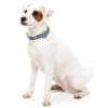 Thornbury Aegean Blue - Collar para perros - vista 2