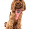 Thornbury Brick Red - Arnés petral para perros - vista 3
