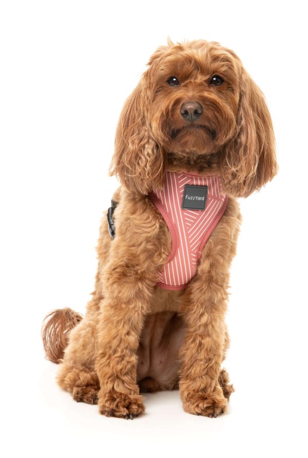 Thornbury Brick Red - Arnés petral para perros - vista 3