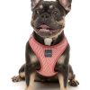 Thornbury Brick Red - Arnés Step In para perros - vista 3