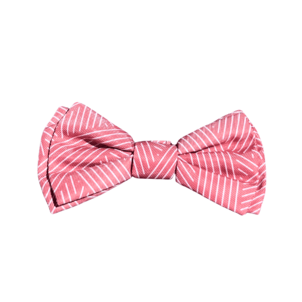 Thornbury Brick Red - Pajarita para perros y gatos