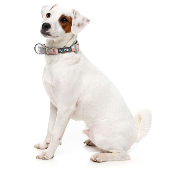 Yazd - Collar para perros Yazd - Collar para perros - vista 2