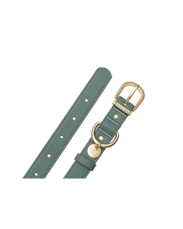 Myrtle Green - Collar para perros Atelier - vista 2