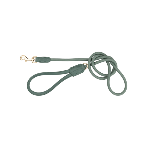 Myrtle Green - Correa para perros Atelier