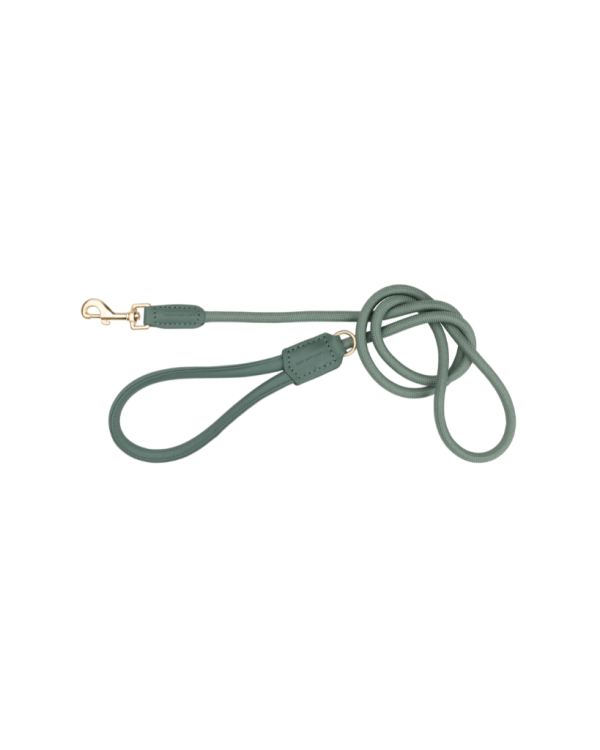 Myrtle Green - Correa para perros Atelier