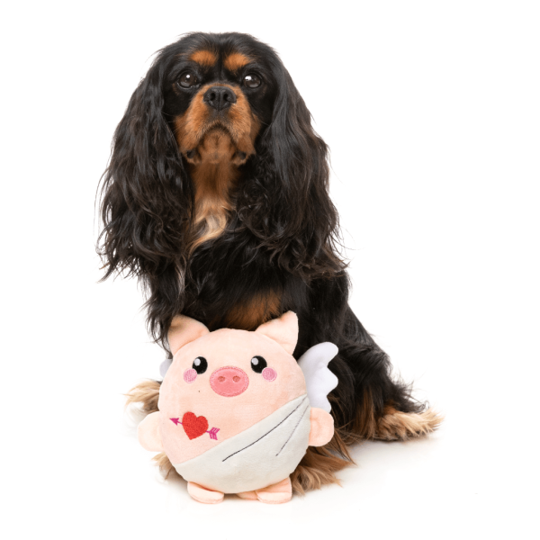 Cu-pig - Love Collection Toy - Juguete para perro - vista 3