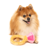 Diamond In The Ruff Ring - Love Collection Toy -  Juguete para perro - vista 2