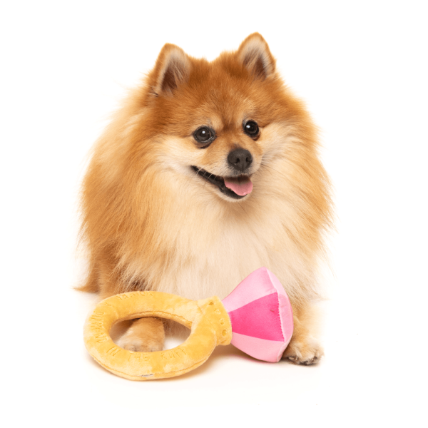 Diamond In The Ruff Ring - Love Collection Toy -  Juguete para perro - vista 2