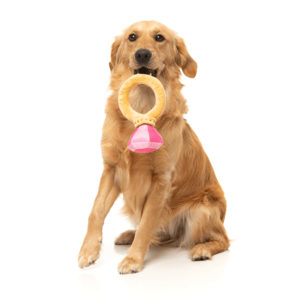 Diamond In The Ruff Ring - Love Collection Toy -  Juguete para perro - vista 3