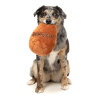 Jumbo Pascua Egg - Juguete para perro Jumbo Pascua Egg - Juguete para perro - vista 3
