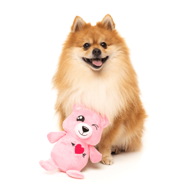 Nothing Butt Love Bear - Love Collection Toy - Juguete para perro - vista 2