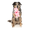 Nothing Butt Love Bear - Love Collection Toy - Juguete para perro - vista 3