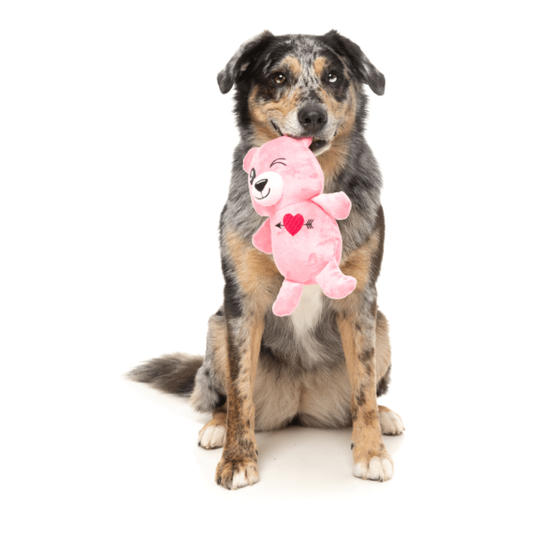 Nothing Butt Love Bear - Love Collection Toy - Juguete para perro - vista 3