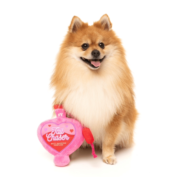 Tail Chaser Perfume - Love Collection Toy - Juguete para perro - vista 3