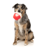 You're Pawsome Cupcake - Love Collection Toy - Juguete para perro You're Pawsome Cupcake - Love Collection Toy - Juguete para perro - vista 2