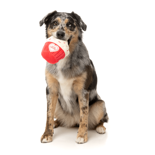 You're Pawsome Cupcake - Love Collection Toy - Juguete para perro You're Pawsome Cupcake - Love Collection Toy - Juguete para perro - vista 2