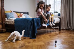 Cat toy