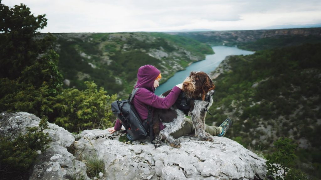Perro junto al equipaje preparado para una escapada de fin de semana
