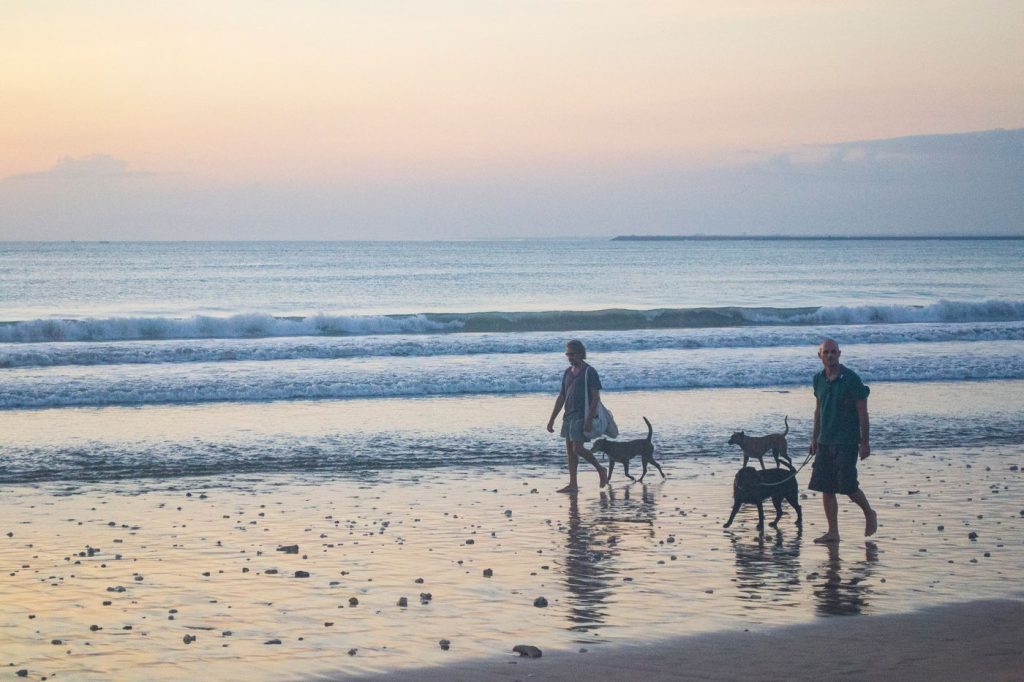 Perro descansando sobre una colchoneta de viaje junto a la playa
