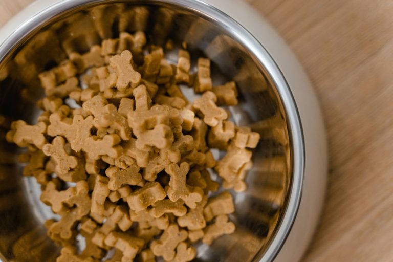 Dog bowl food