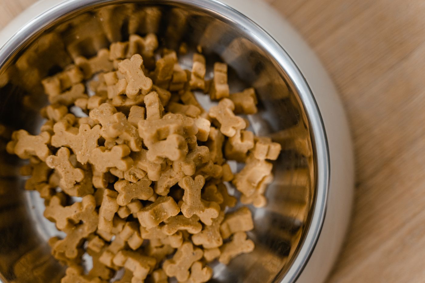 Dog bowl food