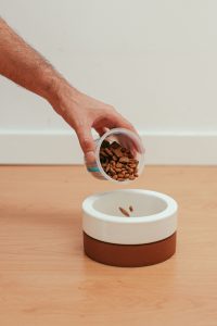 Dog bowl food