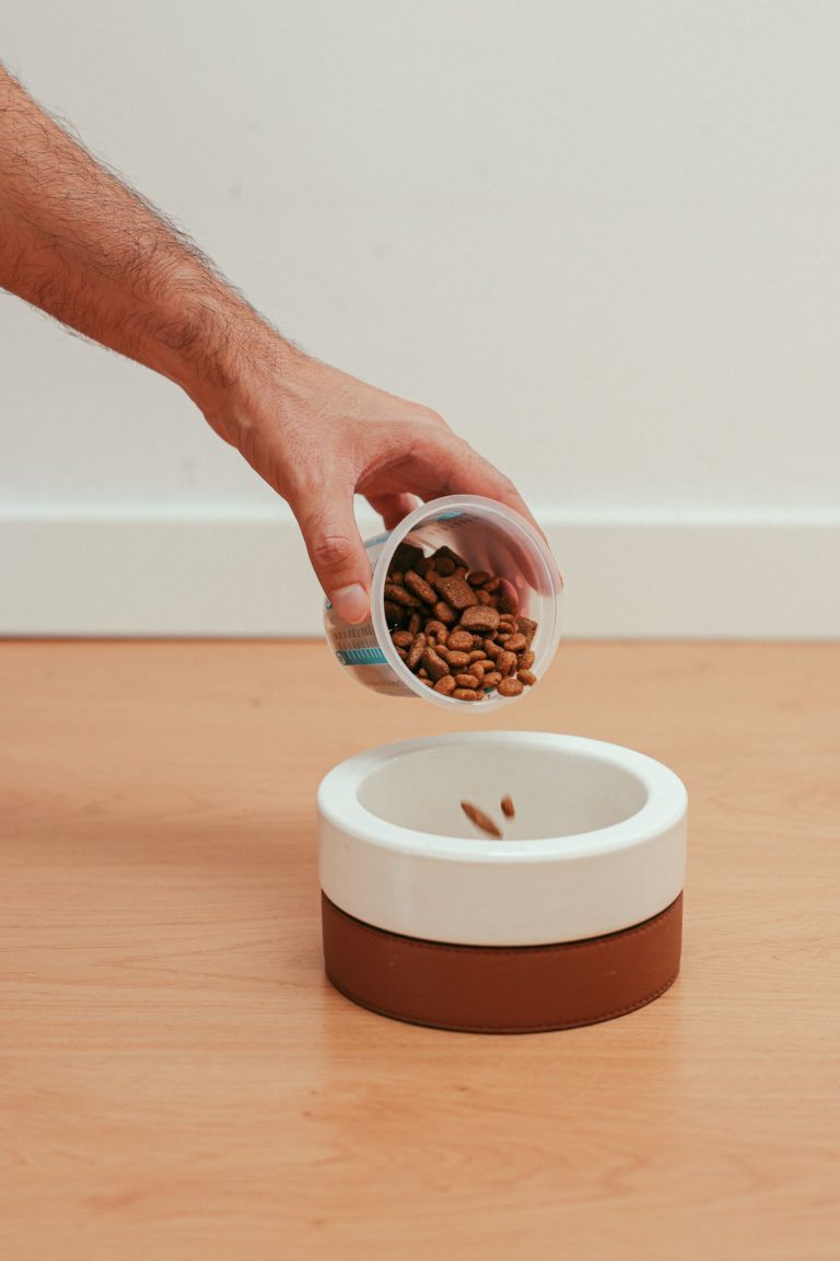 Dog bowl food