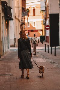 Dog city walk