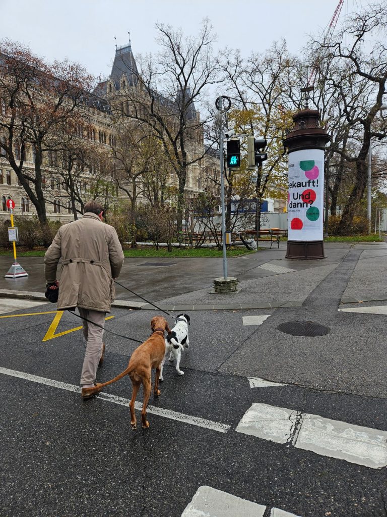Dog city walk