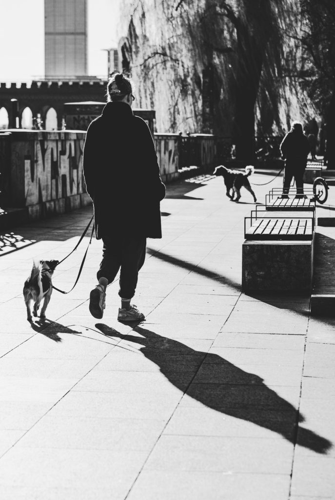 Perro abrigado caminando junto a su dueño por una acera en un día frío