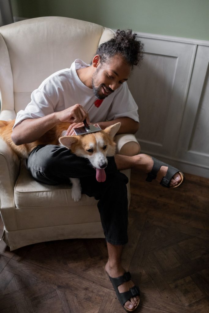 Perro recién bañado junto a su cama limpia en casa