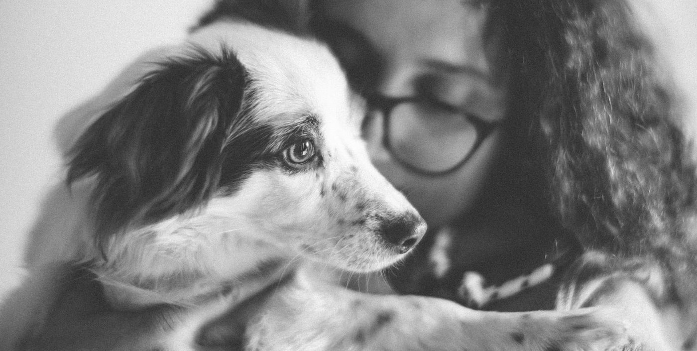 Dog owner hug