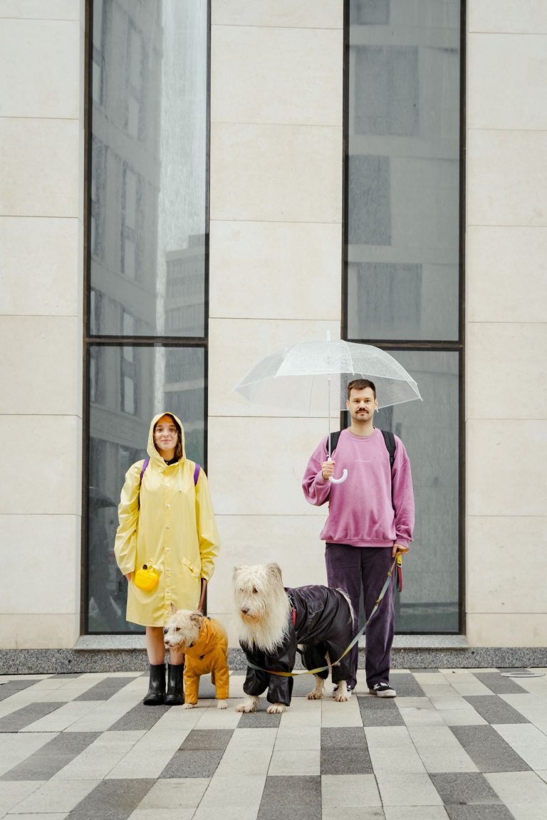 Dog rain