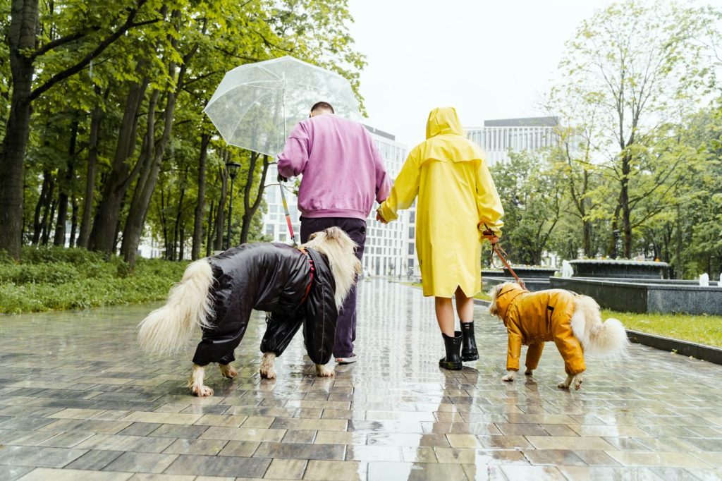 Perro con impermeable amarillo caminando bajo la lluvia