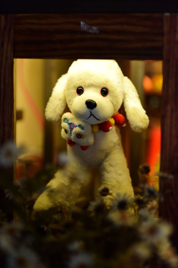 Perro jugando con un juguete de peluche en casa
