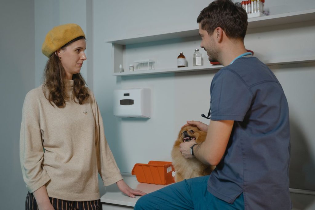 Perro siendo revisado por un veterinario tras una rozadura leve