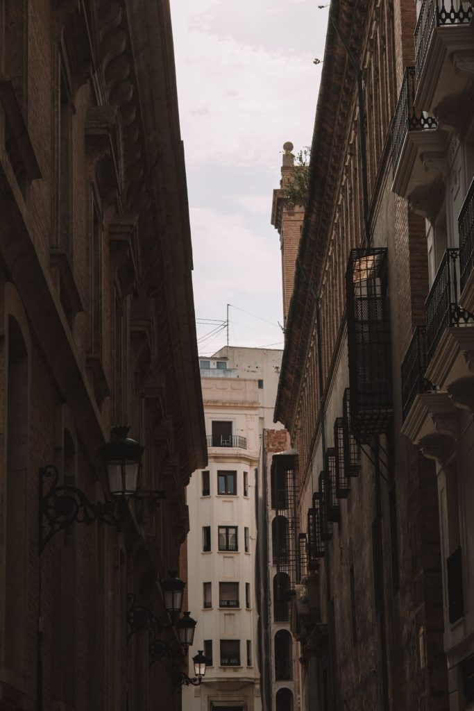 Perro con ropa moderna paseando por una calle histórica de Valencia